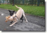 Bitka to já nejraději