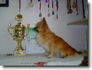 bude plný šampáňa