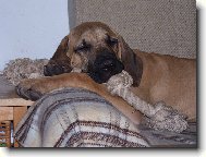 Eroni - spinkám a rostu - nerušit!