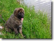 V pěti měsících u rybníka