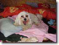 jsem nějaký unavený:-))