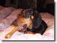 Heidi s "kostičkou"