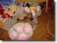 jsem taky plyšák...a jmenuju se Prášek