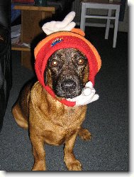 Jsem fešák ze Slivence!!!