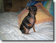 Zorinka-12 měsíců