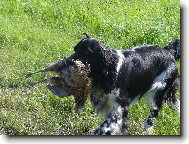 Benjamin od Kamenné báby