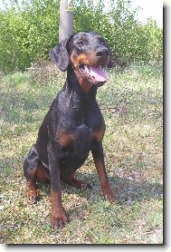 Akinka - úsměv prosím :)