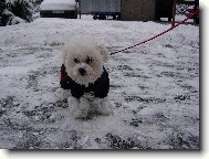 Soptík se sněhovými botkami