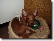 Niky alias andělíček..:D