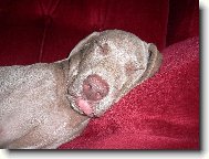 pěkně se nám spinká