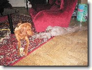 půjčíš mi to taky