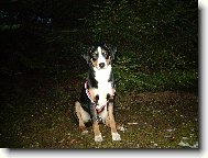 Abora z Velkého Újezda