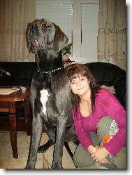 arthur apollon adonis