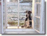 Abby - Andromeda Chotucká hvězda