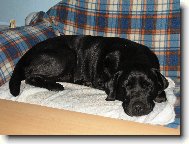 Spinkám si jen tak po obědě.