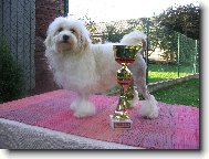 Celebrite s pohárem