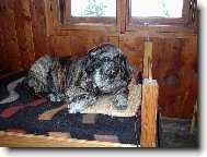 na chatě v pelíšku, mám tady už 13 let