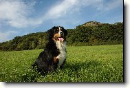 Airinka Zahrada Záboří