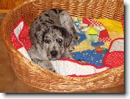 Nech mě spáááát.....