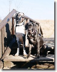 Jonášek s Růženou