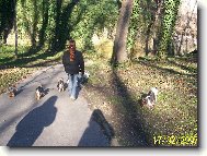 srazík na Petříně