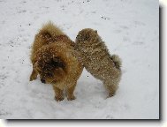 ještě kousek a už to uvidím