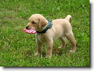 Andy(Endýsek) 6ti týdenní