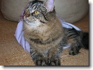 Jonášek prostě miluje igelitky