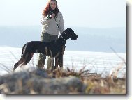 Kürass z Josefovských bud