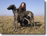 Káliha Bohemia Genao