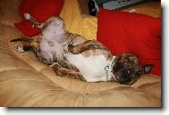 Hlavně nic nedělat