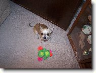 Maxíček z Havířova