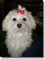 Bety je načančaná