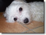 Tááák jsem unavená