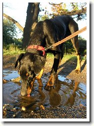 Už jako malá, ráda pila z louže.