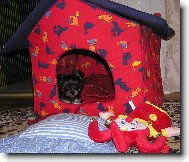 Naše 7týdenní Fifnka