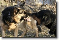 Sáhni na ten klacek a uvidíš!