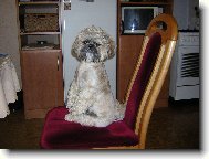 Tedy čekající na jidlo