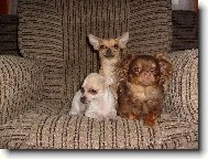 Magali, Natálka a Terezka