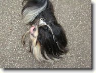 Mńam, to byla dobrůtka