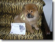 první výstavní úspěch