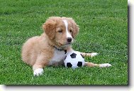 Není rozkošný? :o*