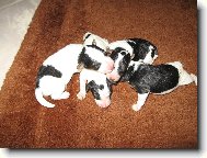 narodili jsme se a máme 4 - 8 hodin