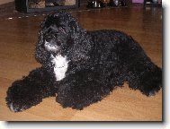 Moje Zlatíčko Ketty