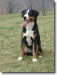 Abora z Velkého Újezda