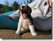 už se mi chce spinkat