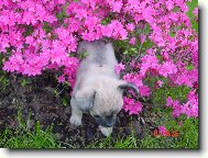 jak se odsuď dostanu?