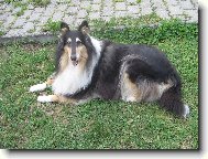 Anita Black Modrý Iris