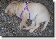 Brita jako miminko-2 měsíce