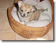 jsem už velkej kluk